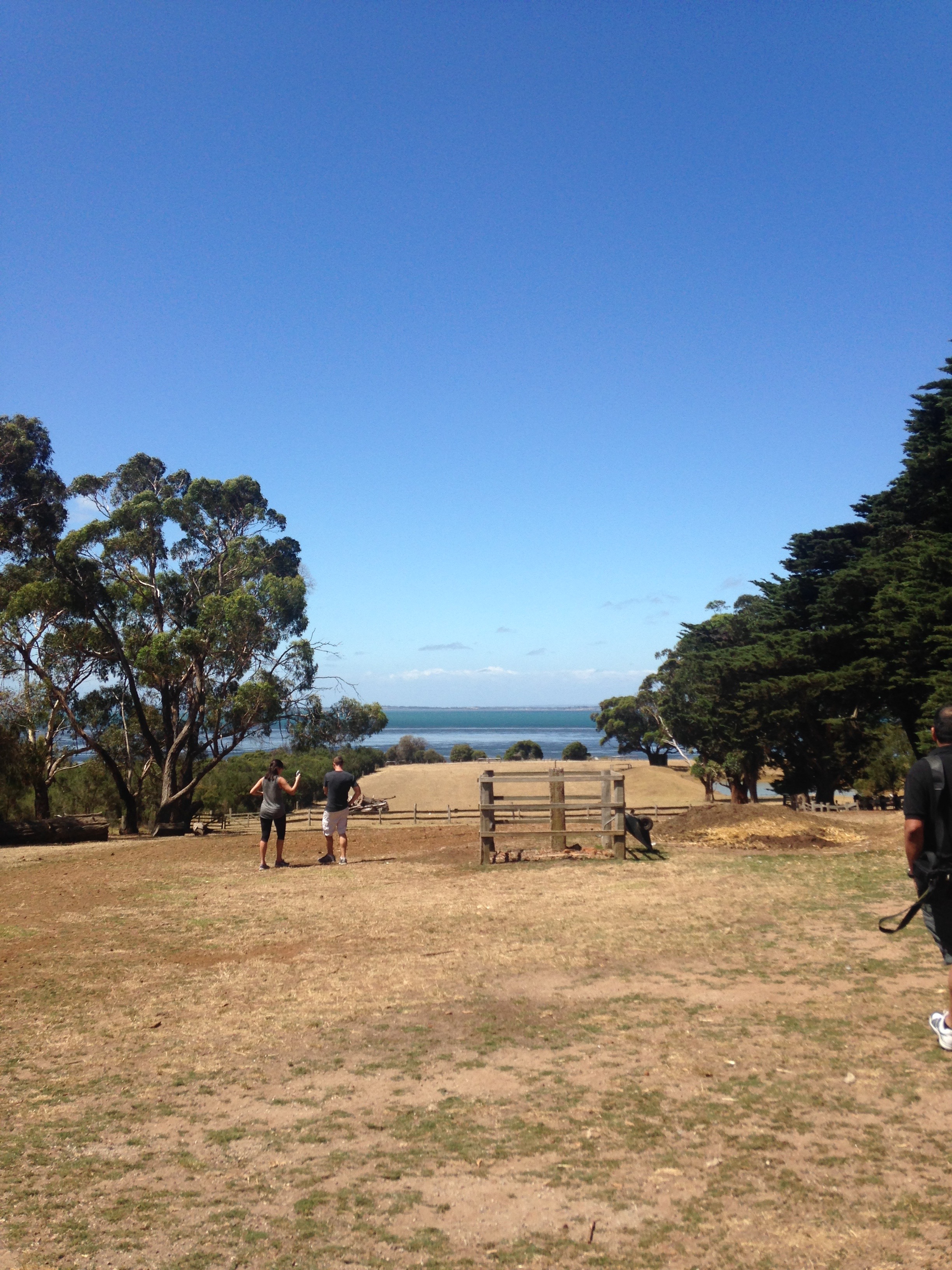 Views across the grounds of farmland on a sunny day in Australia