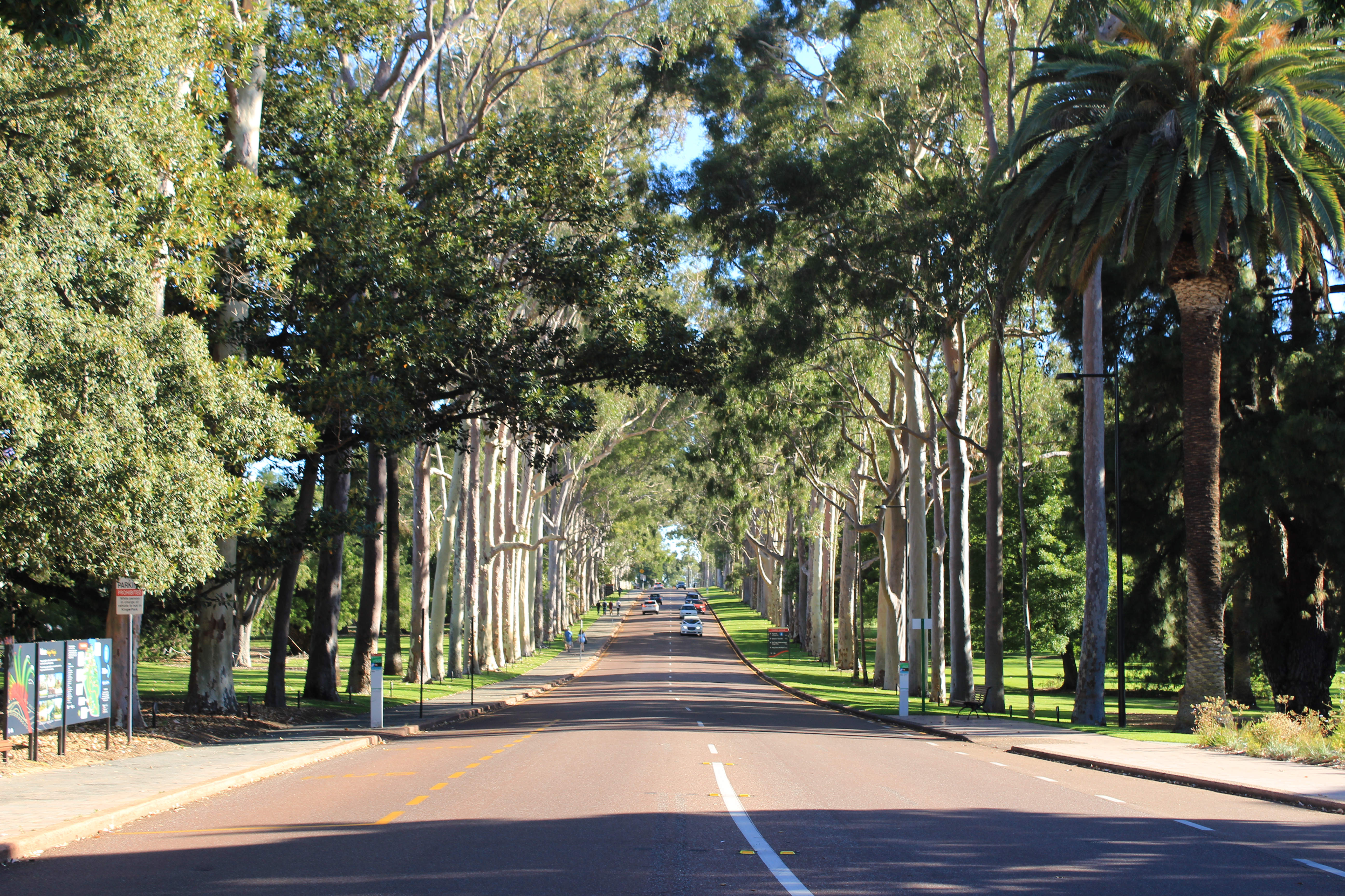Best things to do in Perth - one day itinerary. Visit King's Park
