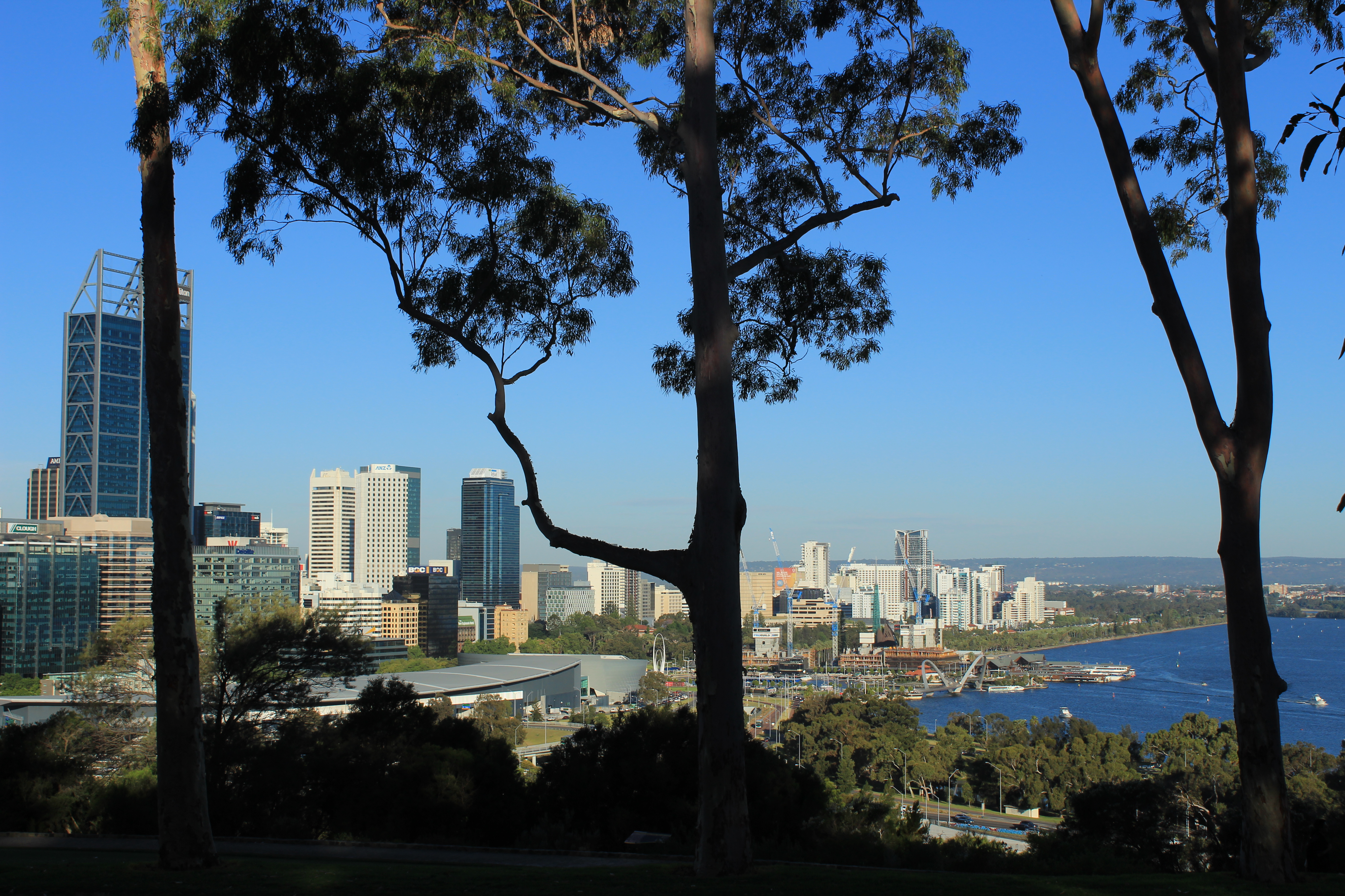 Best things to do in Perth - one day itinerary. Visit King's Park for city views of Perth