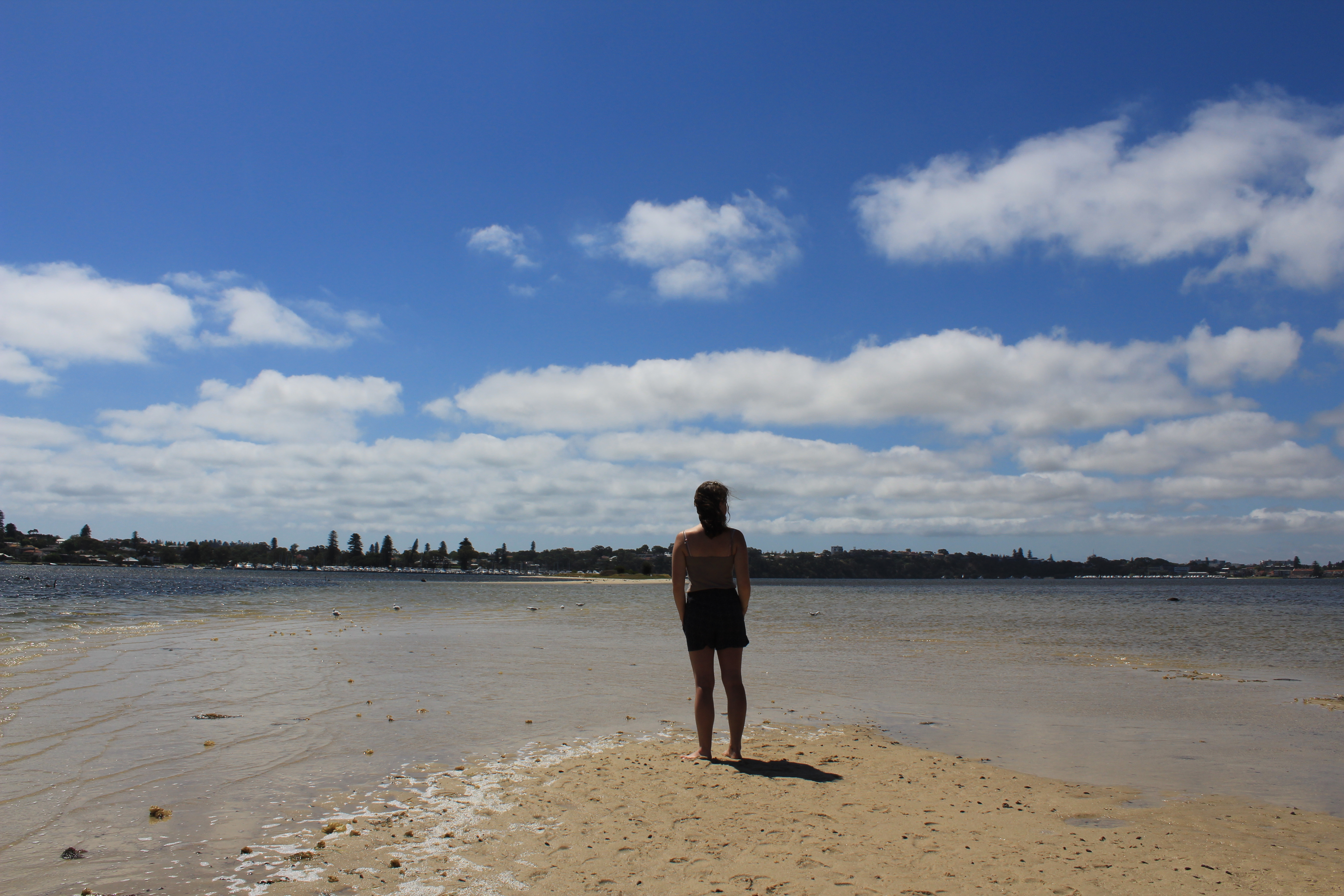 Best things to do in Fremantle - Point Walter sandbar