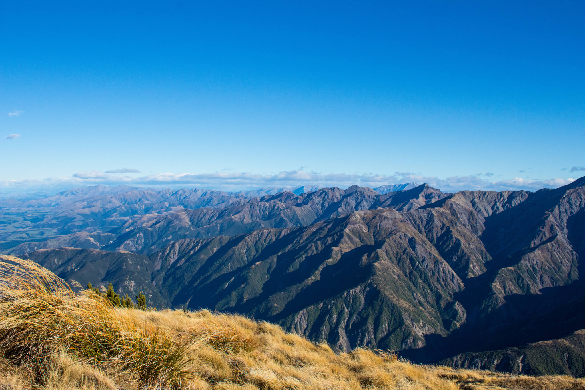 mountain range from atop mount fyffe