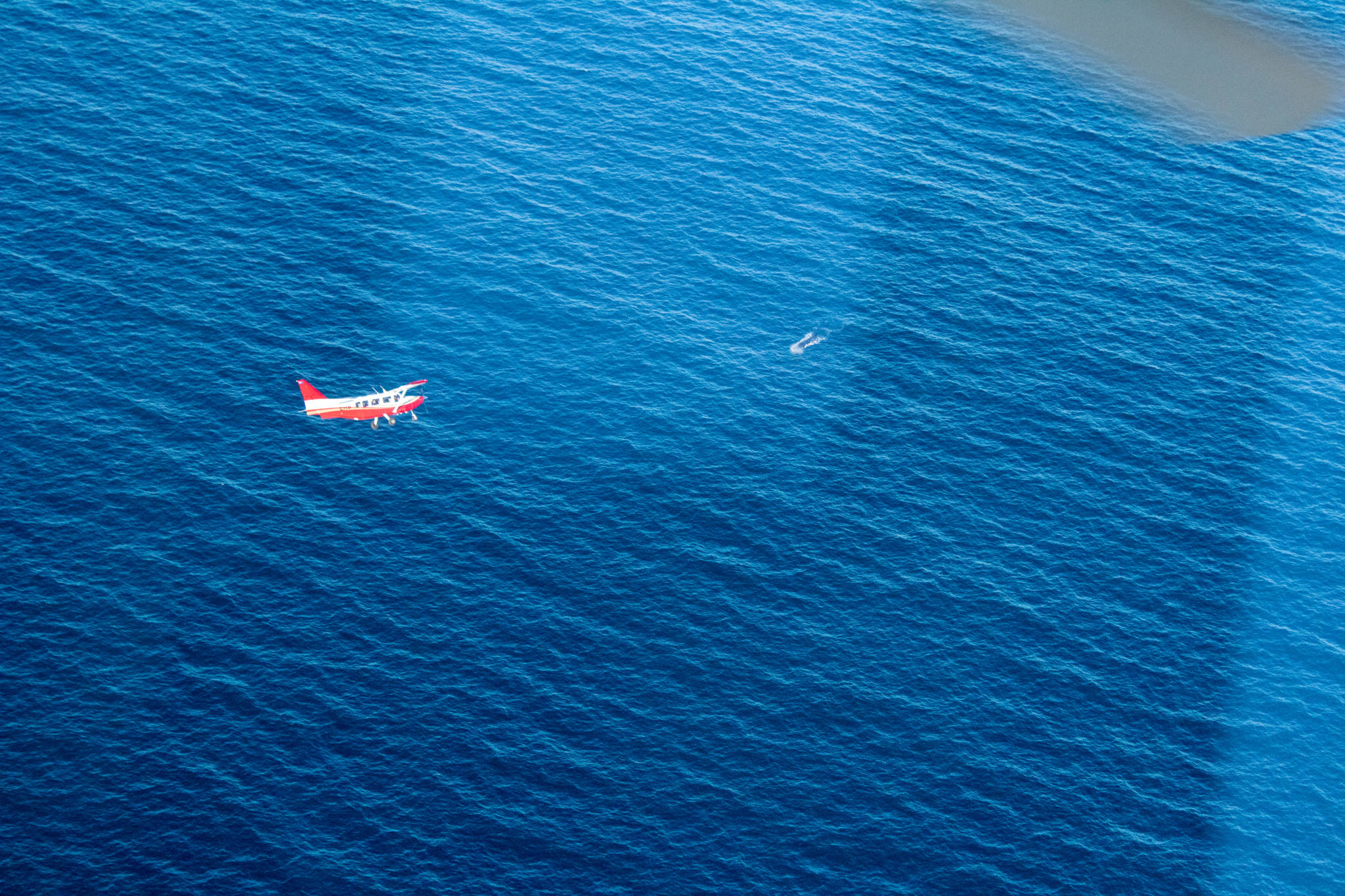 plane circles whale in ocean