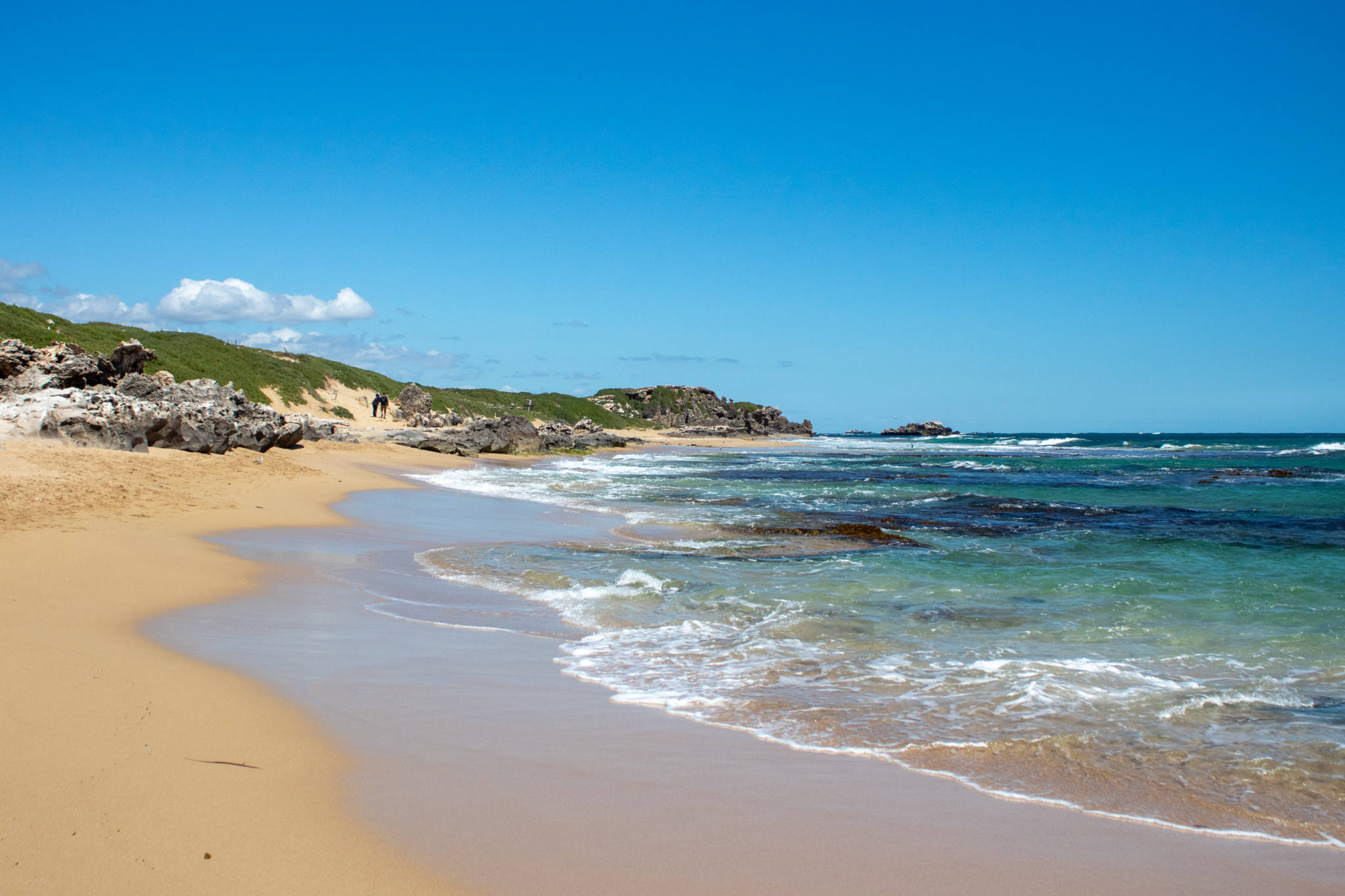 beach walk on penguin island