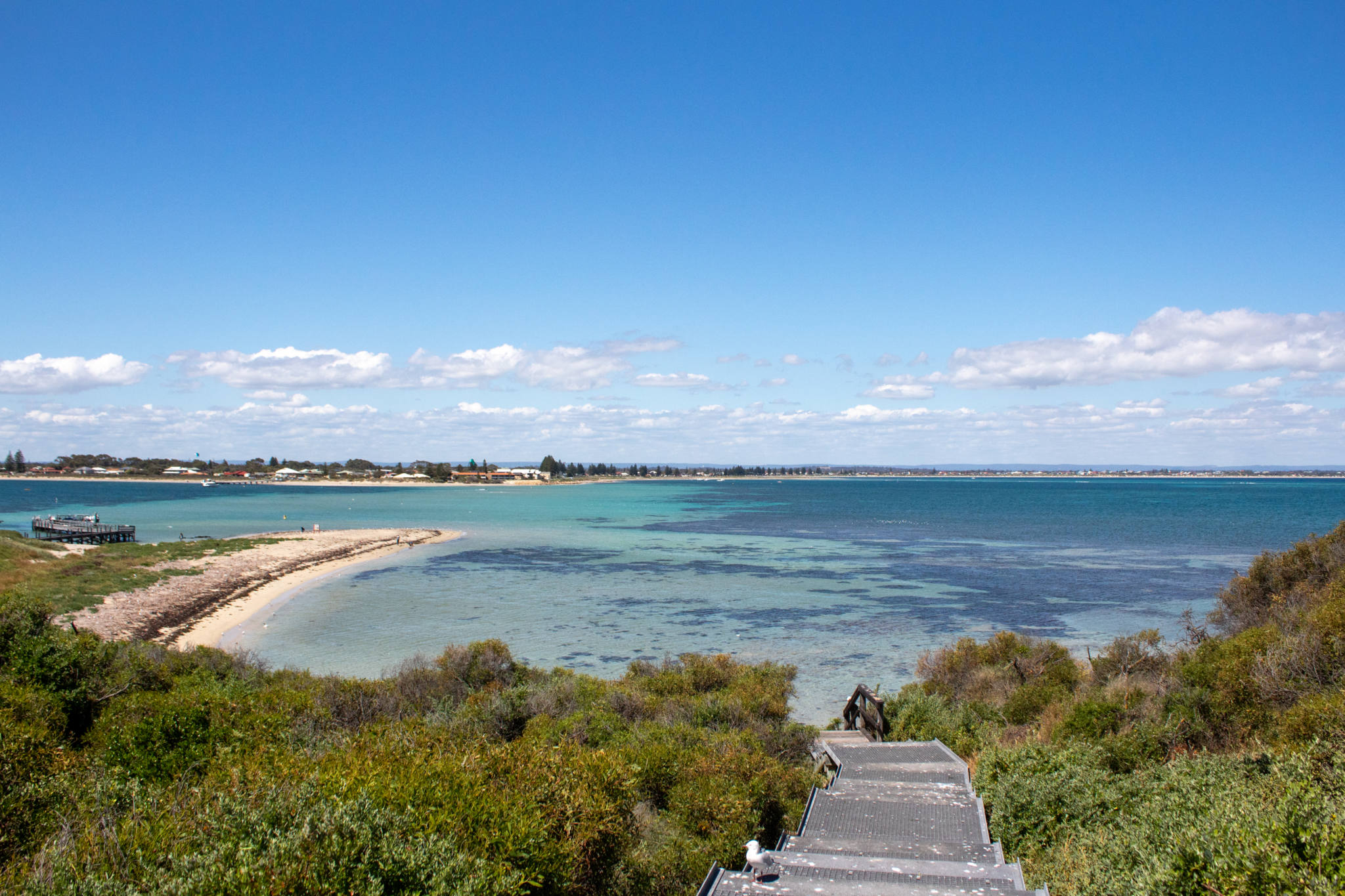 boardwalk lookout across penguin island and shoalwater marine reserve