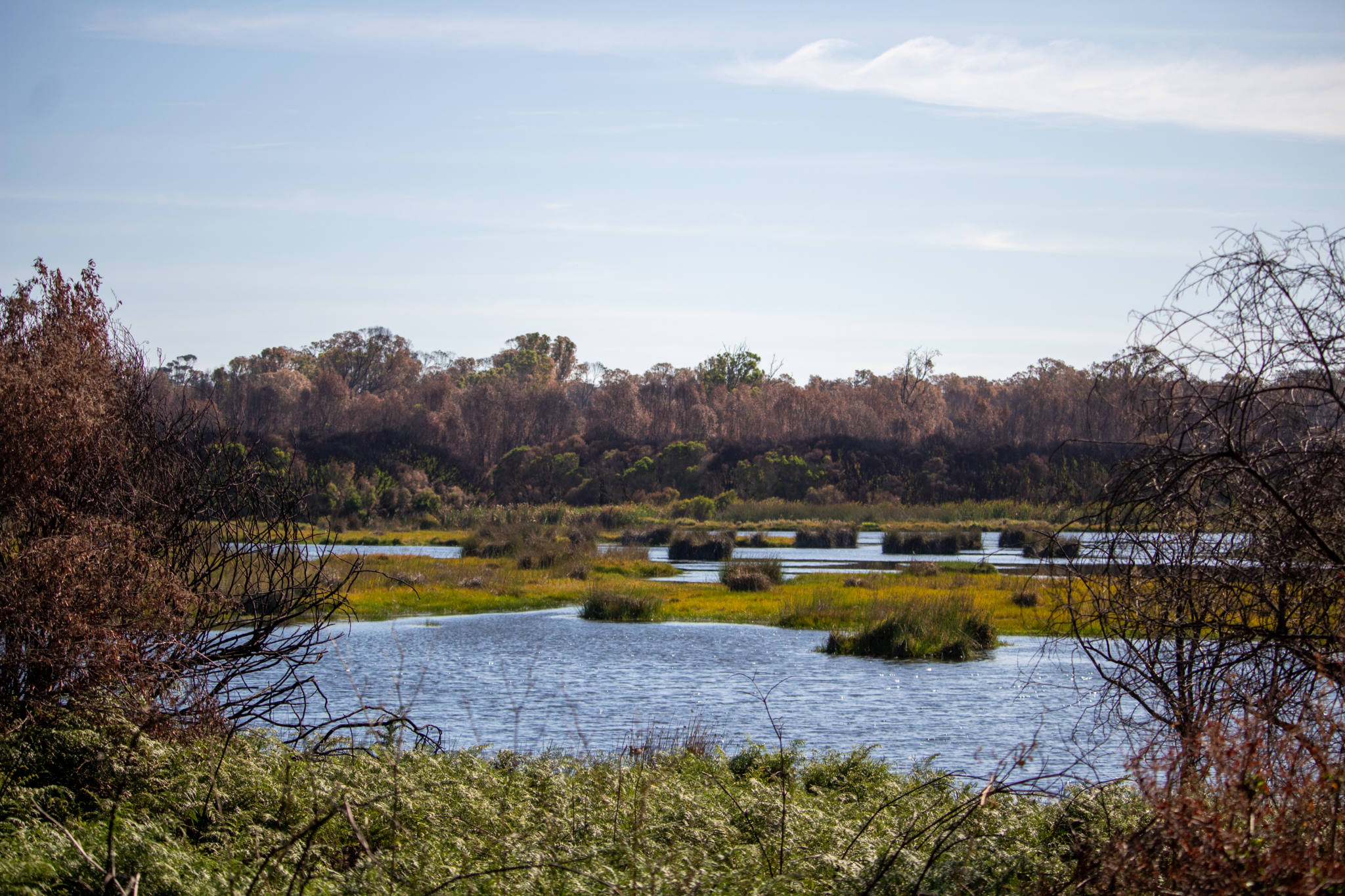 view over lake in yanchep national park