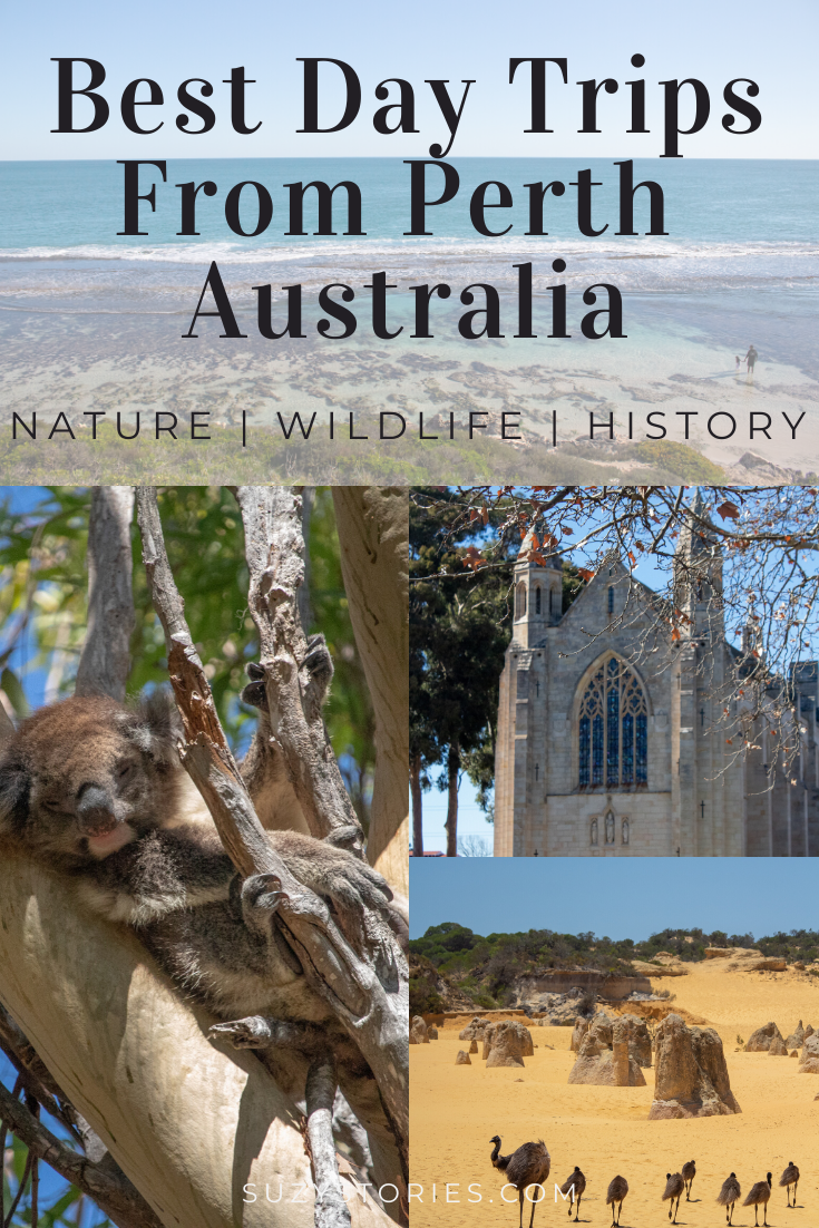 collage of images including koala, chapel, and desert in perth western australia
