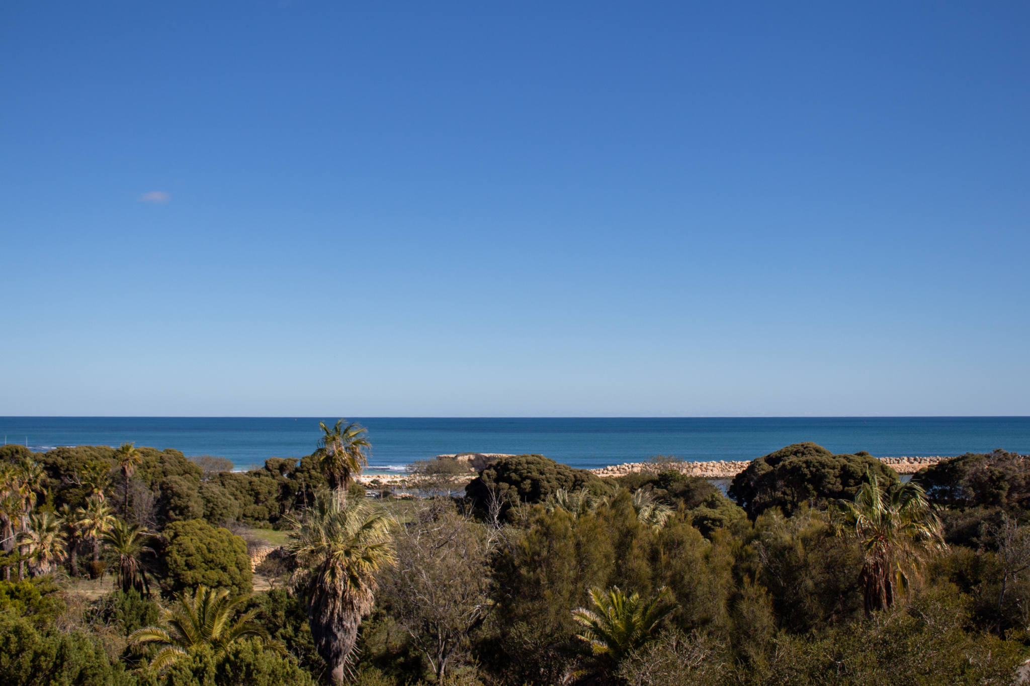 view over tree tops and ocean from Two Rocks Atlantis water park